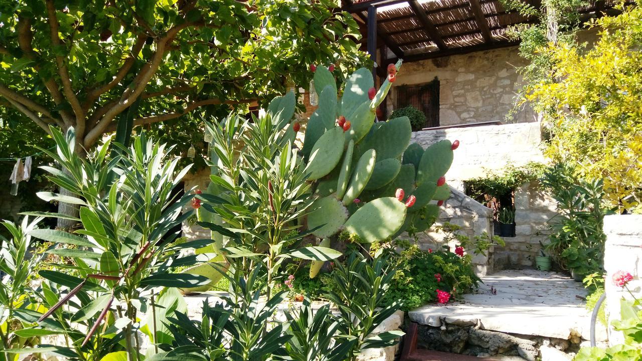 Villa Filiza Sívas Exterior foto
